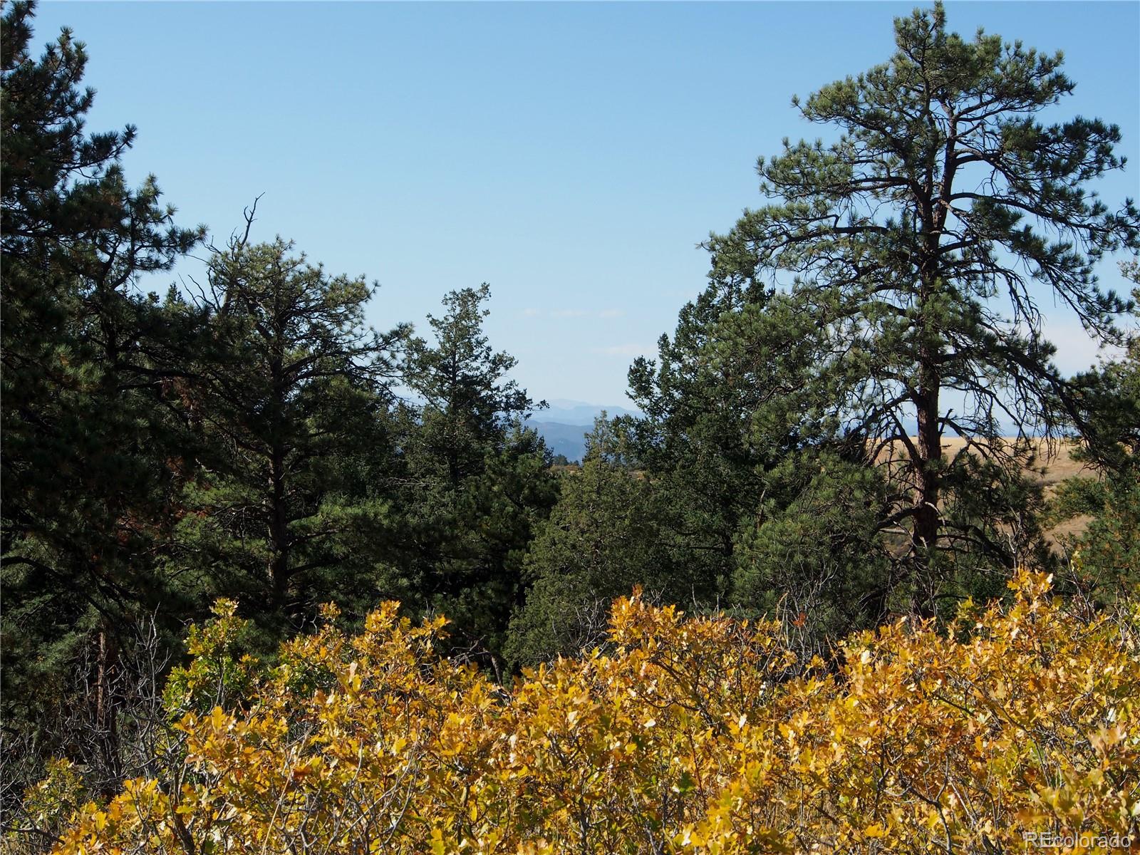 2935 Canon Ridge Road Castle Rock, CO 80104 - Photo 13 of 39