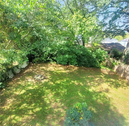 a view of a yard with plants and large trees