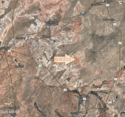 a close up of a tree