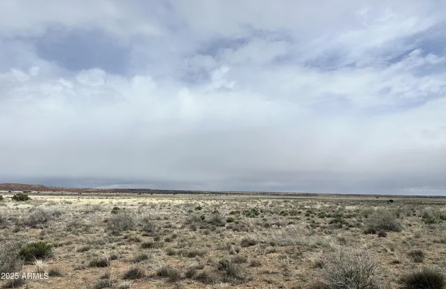 $9,947 | 16 County Road, Concho, AZ 85924