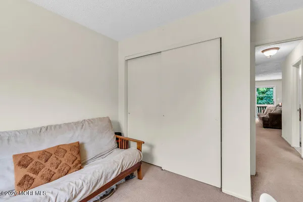 a living room with a couch and a potted plant