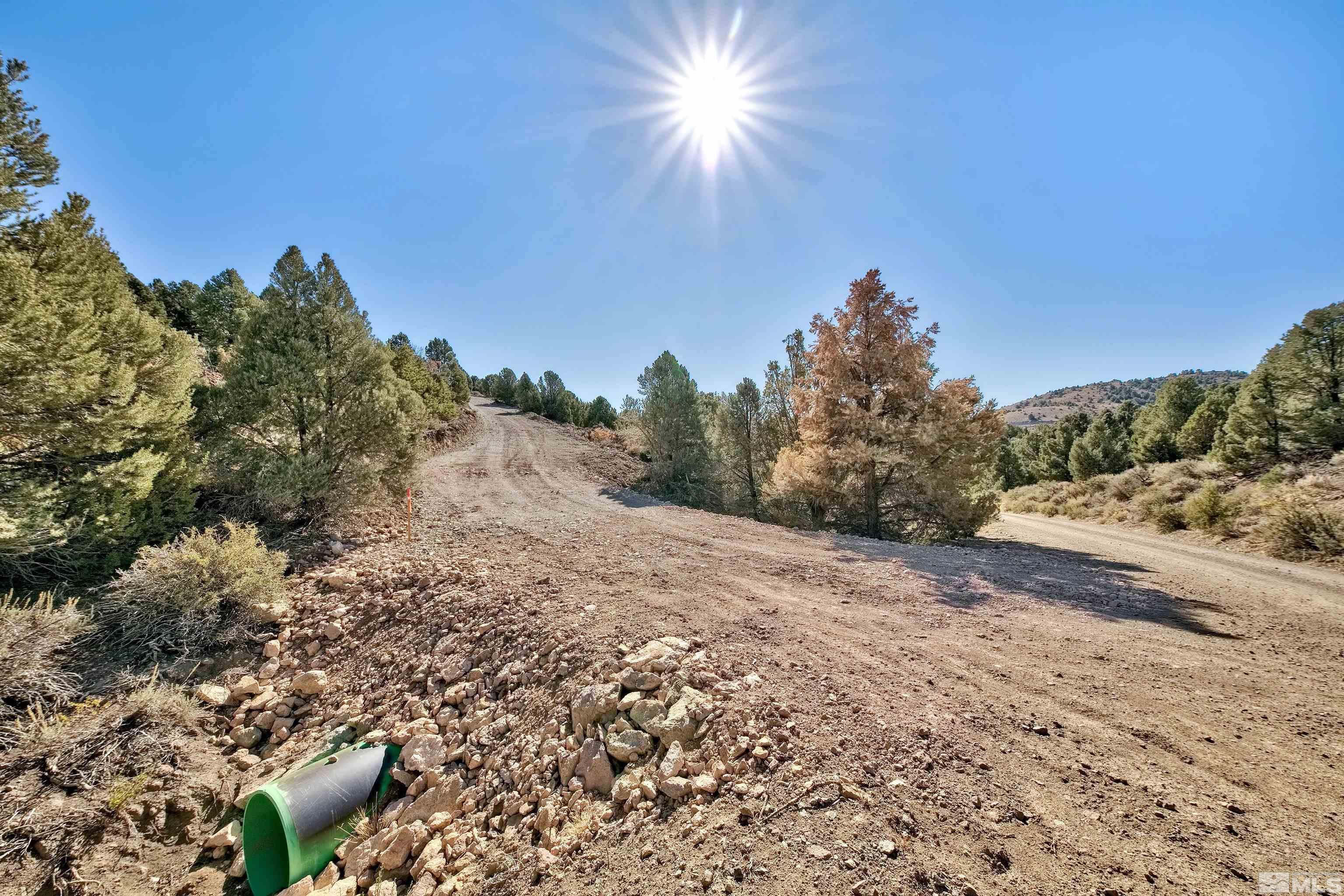 4700 Lost Burro Road Reno, NV 89521 - Photo 5 of 19 a night view of a dry yard with trees