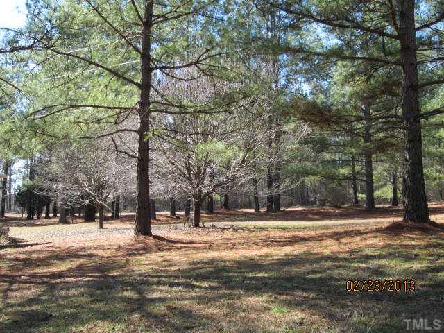 6701 Isham Chambers Road Rougemont, NC 27572 - Photo 2 of 12