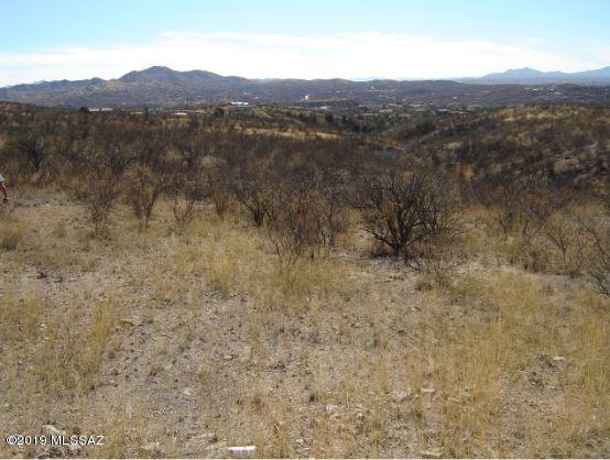 258 Paseo Mascota, Unit 76/216 Rio Rico, AZ 85648 - Photo 2 of 2 mascota photo