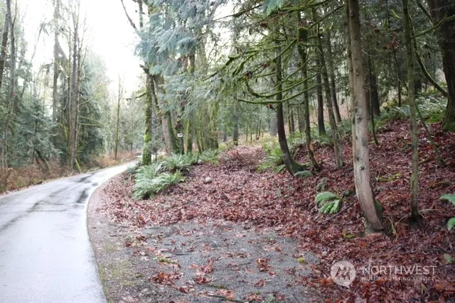 a view of backyard with green space