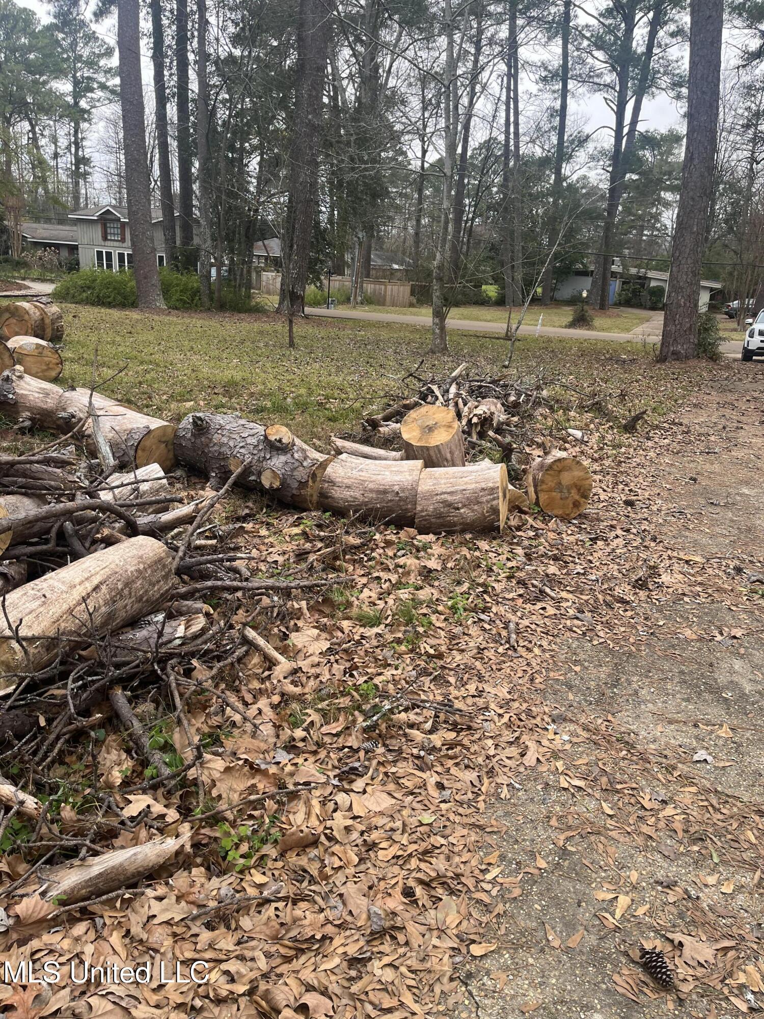 0 Roxbury Road Jackson, MS 39211 - Photo 4 of 6 IMG_7524