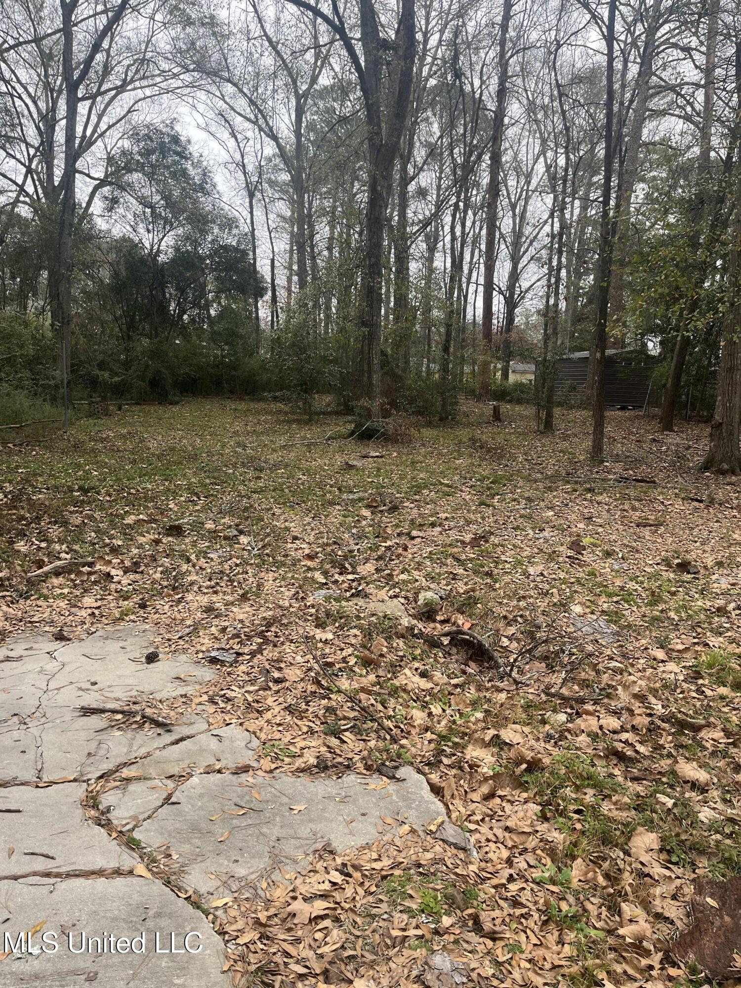 0 Roxbury Road Jackson, MS 39211 - Photo 6 of 6 IMG_7522