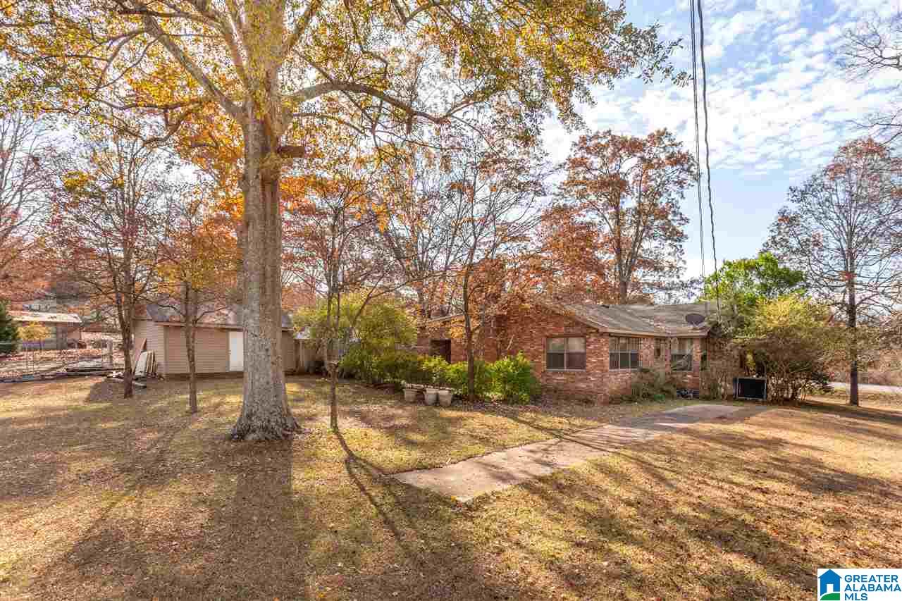53606 Highway 231 Oneonta, AL 35121 - Photo 32 of 37