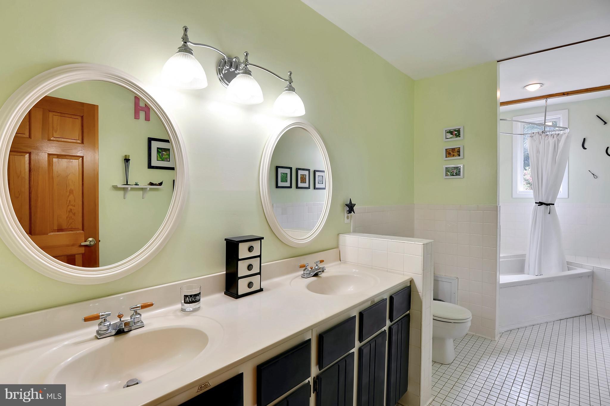401 Farmington Road West Accokeek, MD 20607 - Photo 19 of 30 a bathroom with a sink and a mirror