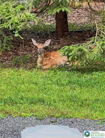 $350,000 | 86 Burnshaw Lane, Albrightsville, PA 18210