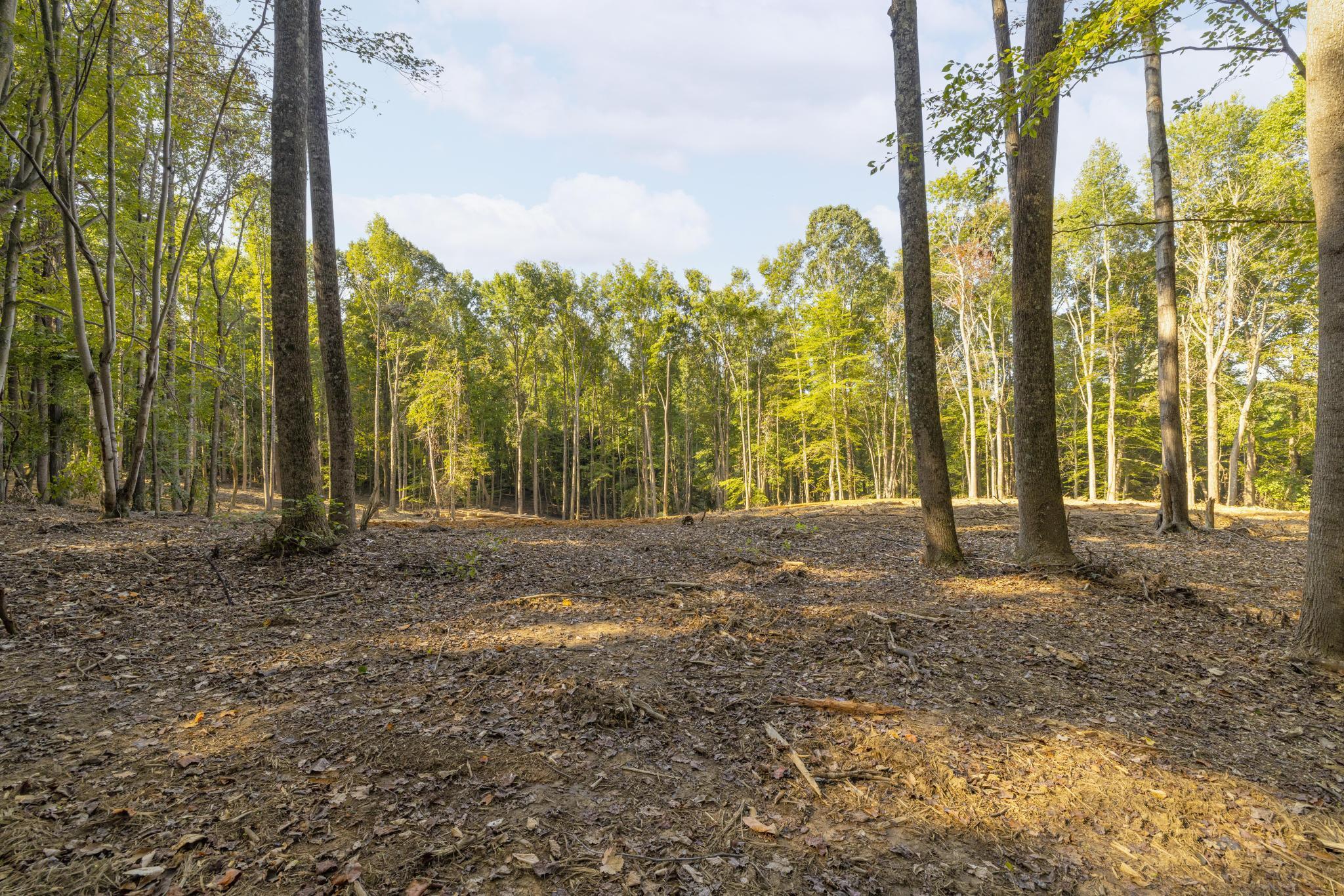 Tbd Ridgecrest Road Jonesborough, TN 37659 - Photo 11 of 20 Build site and surroundings