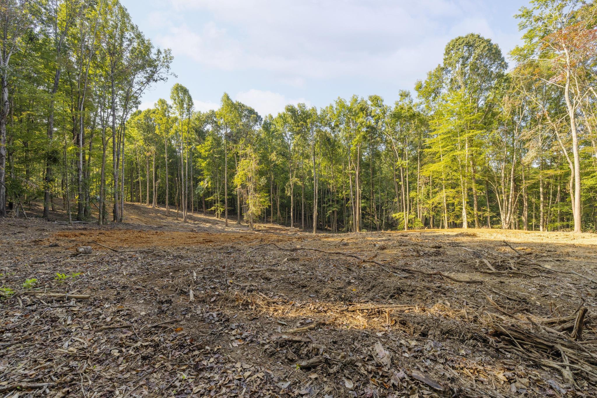 Tbd Ridgecrest Road Jonesborough, TN 37659 - Photo 12 of 20 Private build site