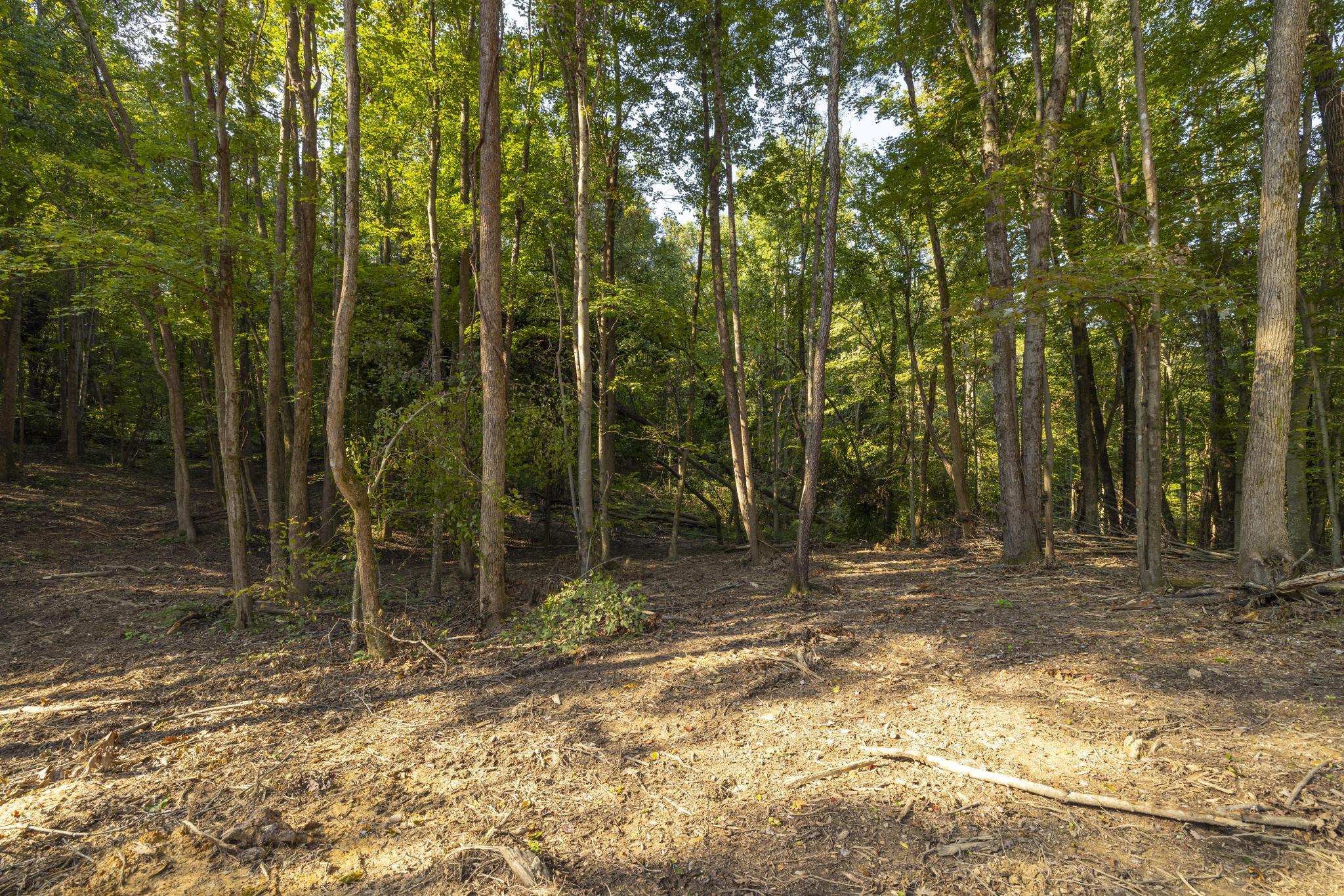 Tbd Ridgecrest Road Jonesborough, TN 37659 - Photo 13 of 20 Private build site