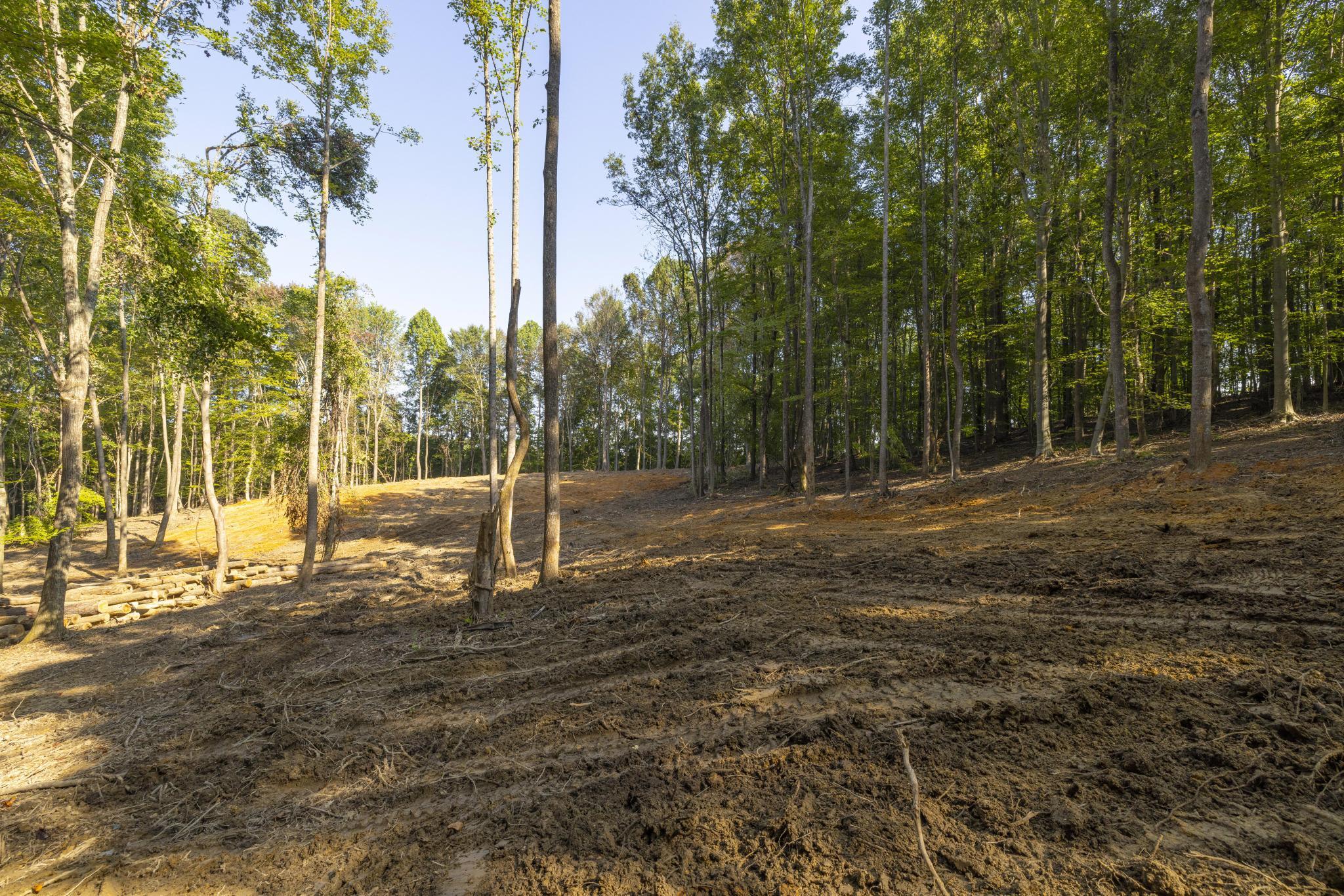 Tbd Ridgecrest Road Jonesborough, TN 37659 - Photo 14 of 20 Build site