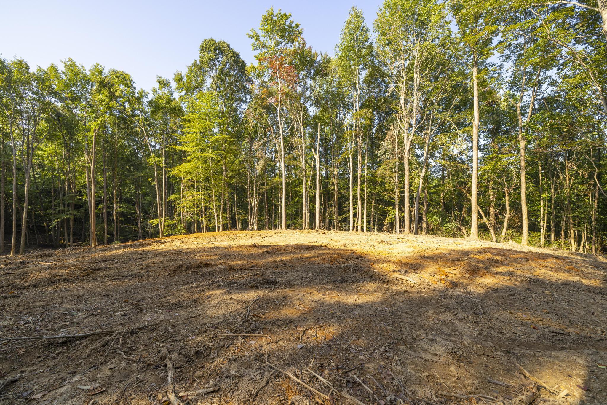Tbd Ridgecrest Road Jonesborough, TN 37659 - Photo 15 of 20 Build site