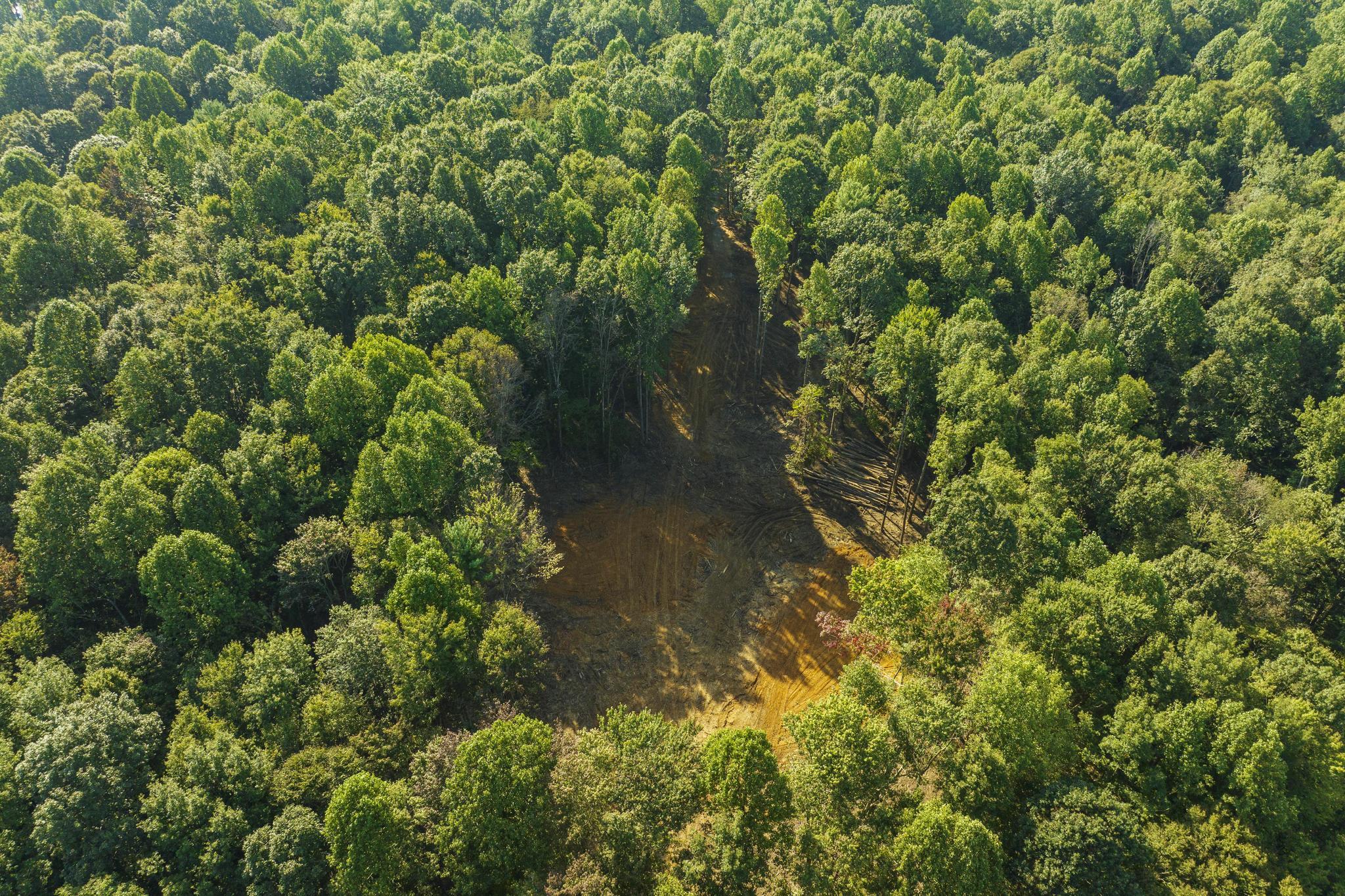 Tbd Ridgecrest Road Jonesborough, TN 37659 - Photo 18 of 20 Aerial