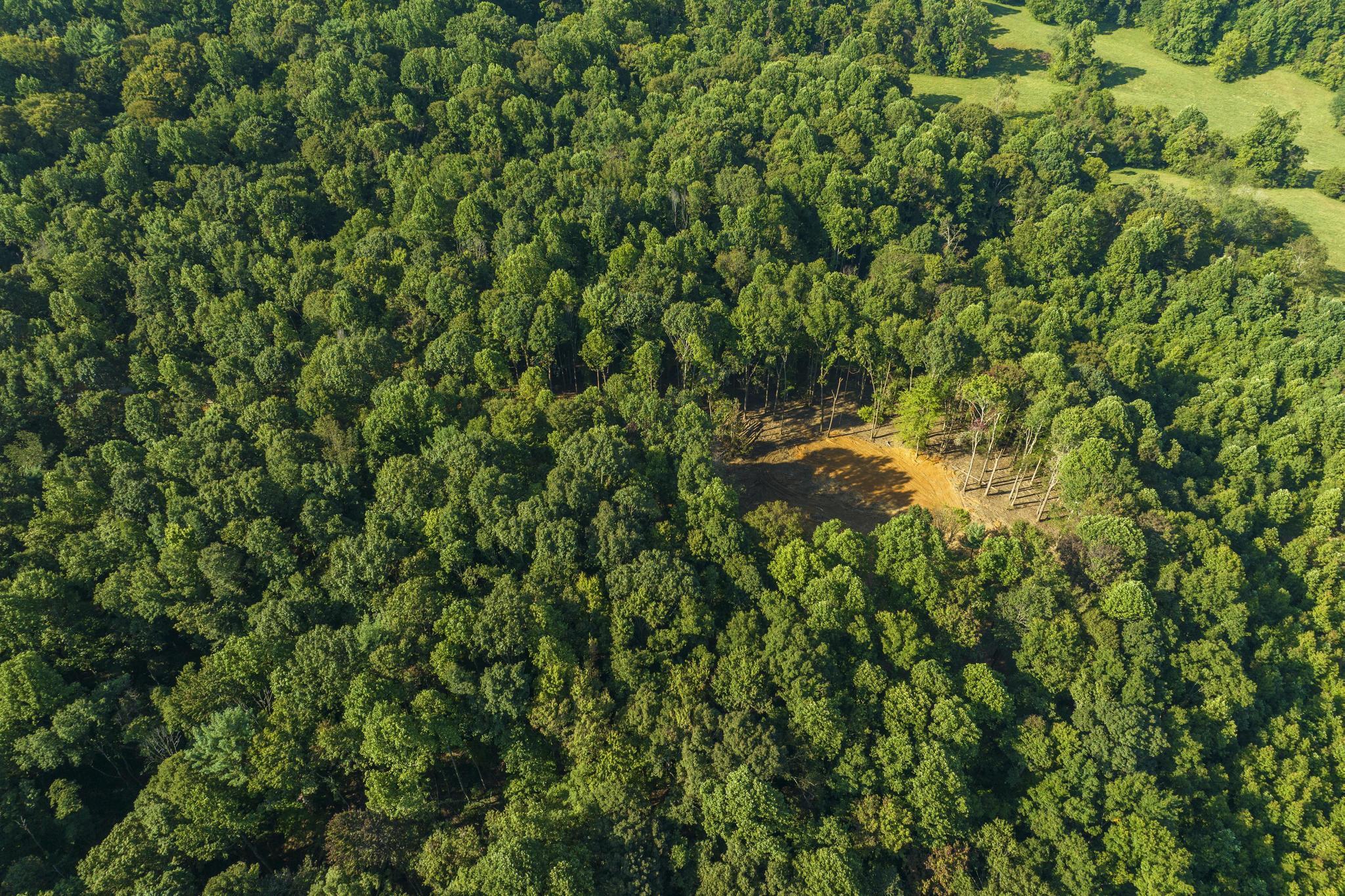 Tbd Ridgecrest Road Jonesborough, TN 37659 - Photo 19 of 20 Aerial
