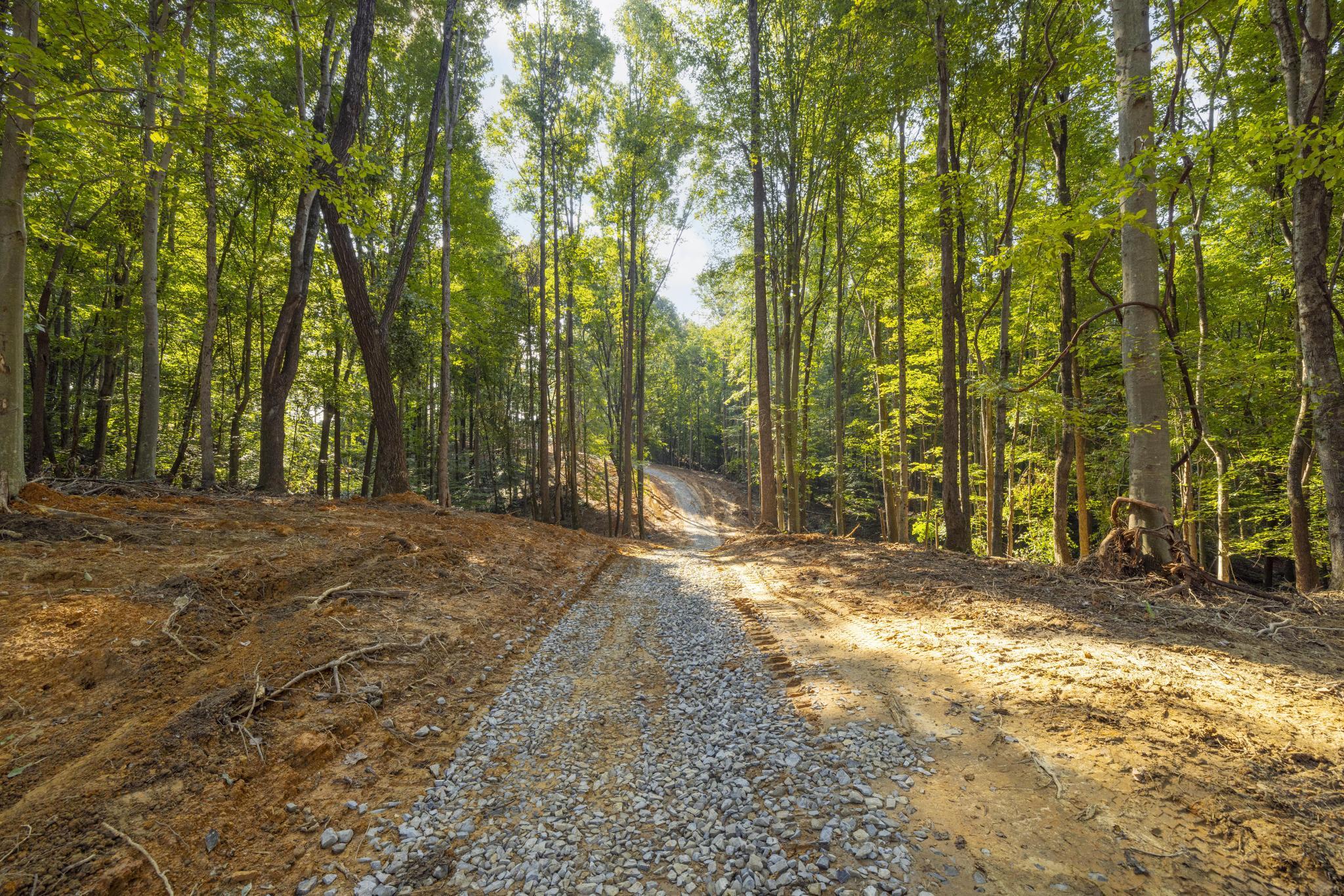 Tbd Ridgecrest Road Jonesborough, TN 37659 - Photo 3 of 20 Drive to build site
