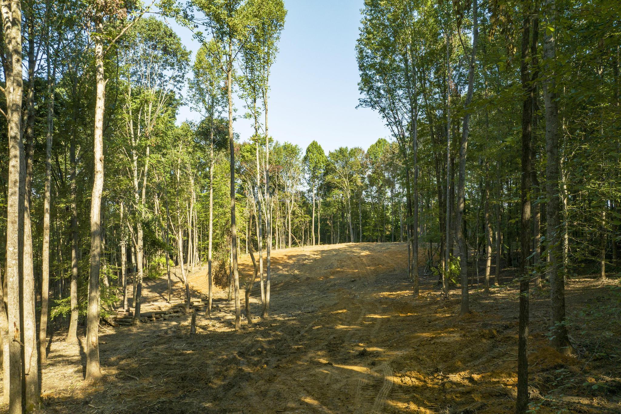 Tbd Ridgecrest Road Jonesborough, TN 37659 - Photo 4 of 20 Approaching build site