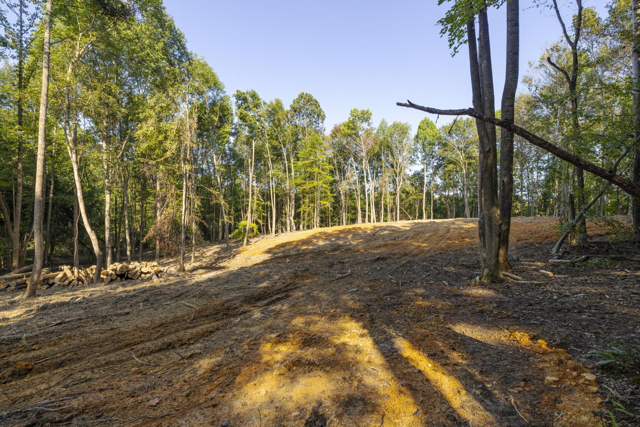 Tbd Ridgecrest Road Jonesborough, TN 37659 - Photo 6 of 20 Build site