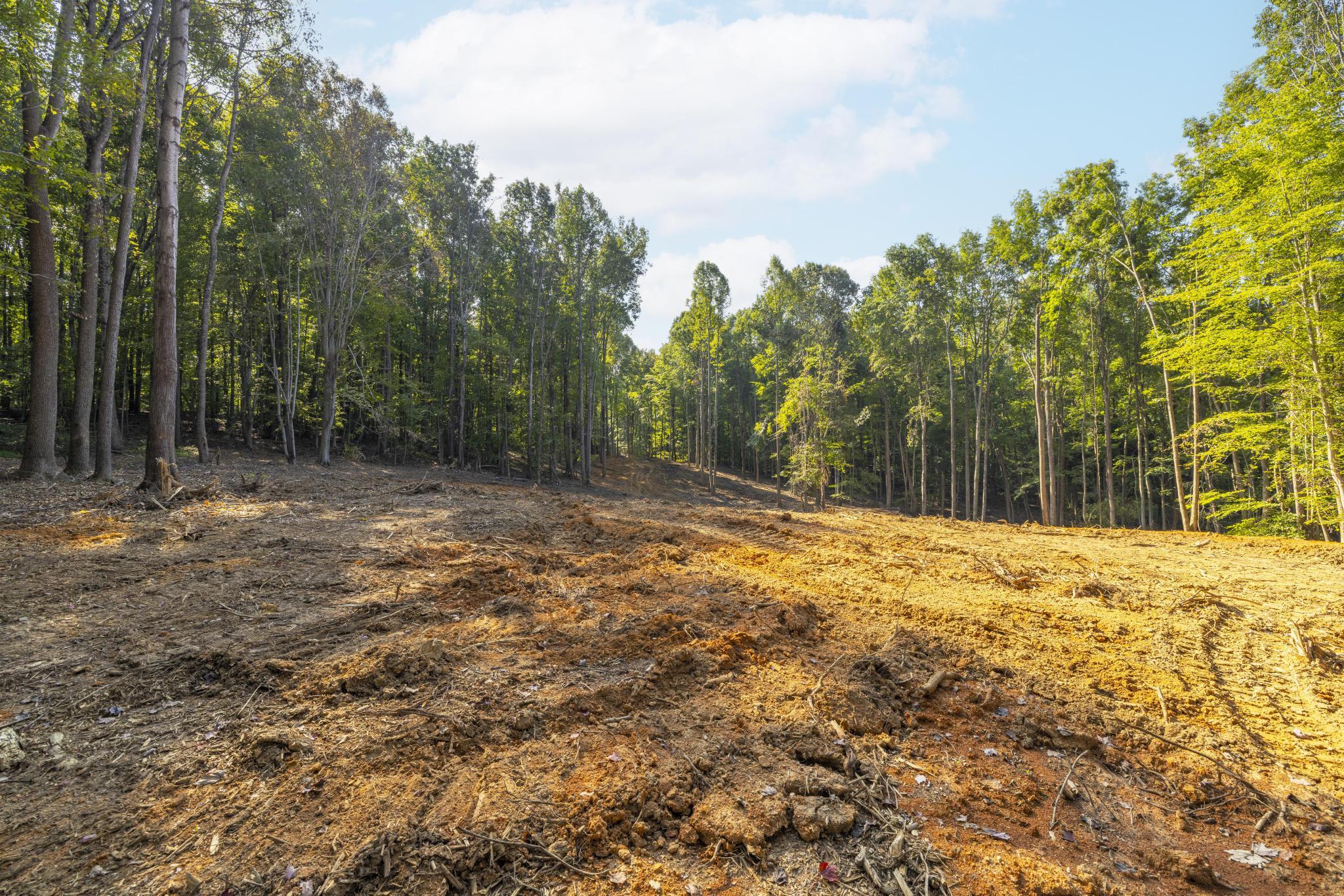 Tbd Ridgecrest Road Jonesborough, TN 37659 - Photo 7 of 20 Build site