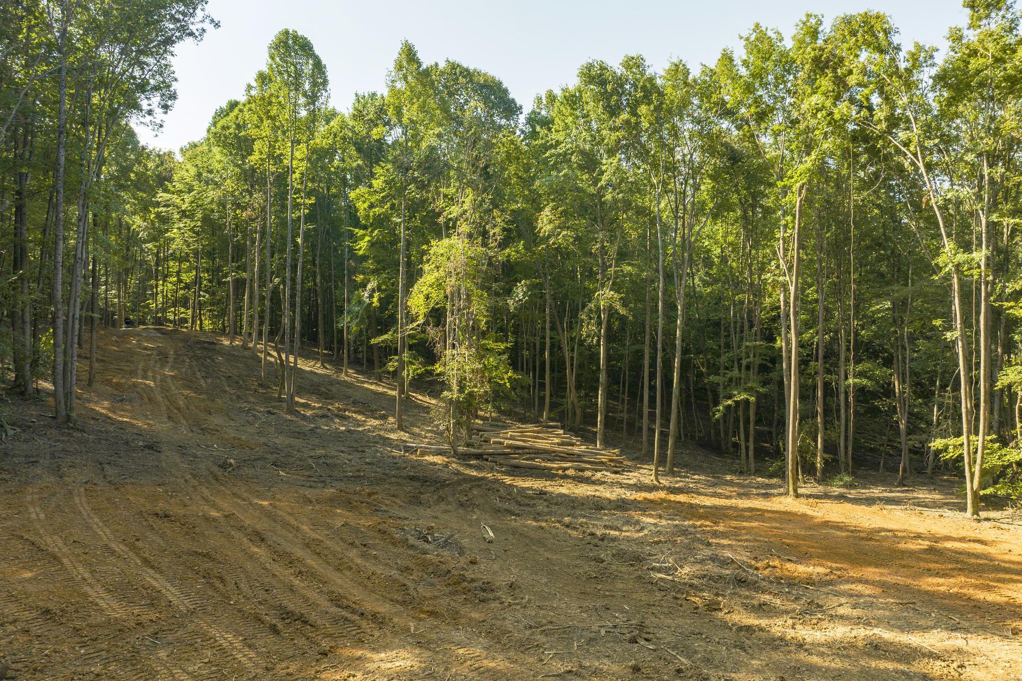 Tbd Ridgecrest Road Jonesborough, TN 37659 - Photo 8 of 20 Build site