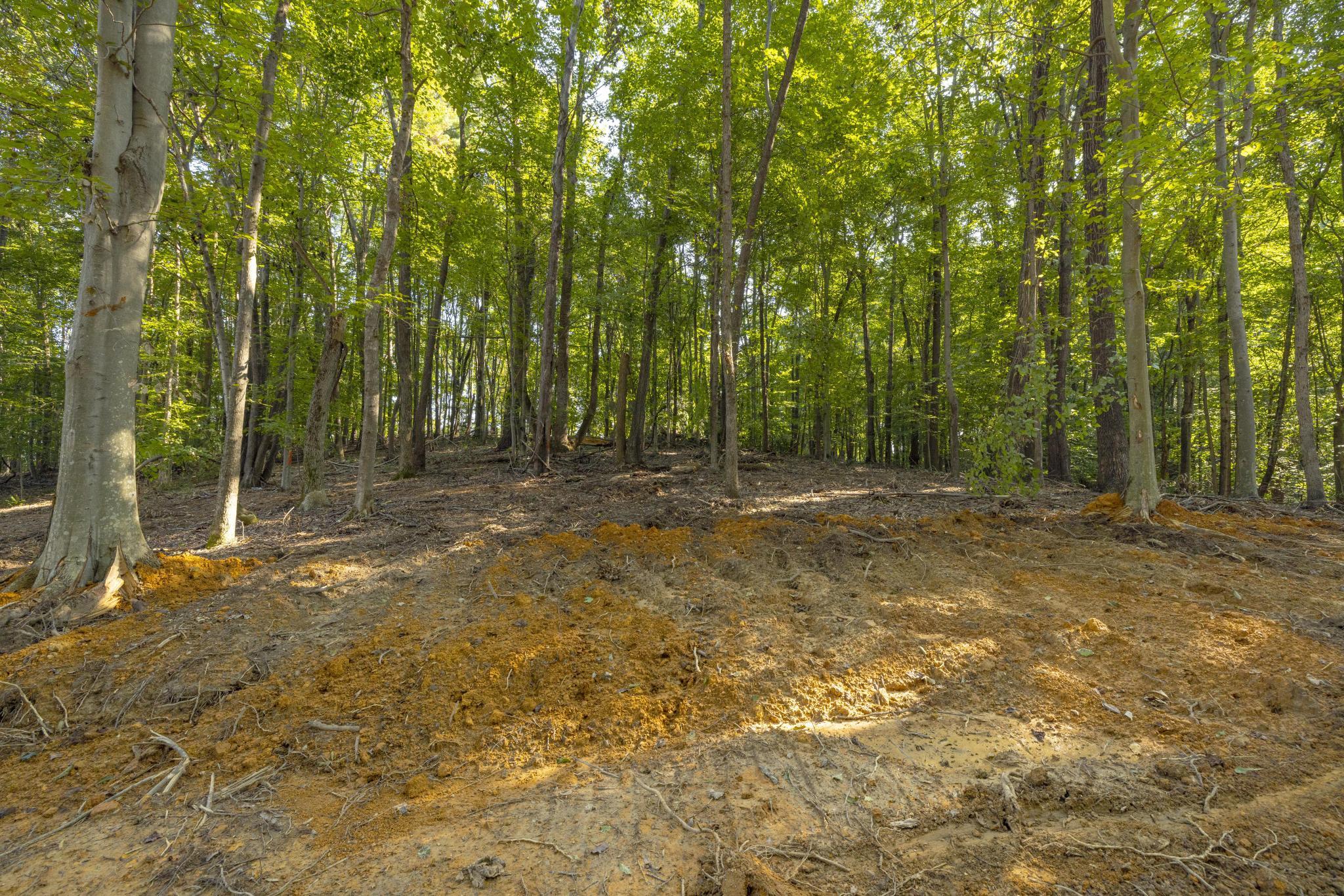 Tbd Ridgecrest Road Jonesborough, TN 37659 - Photo 10 of 20 Build site