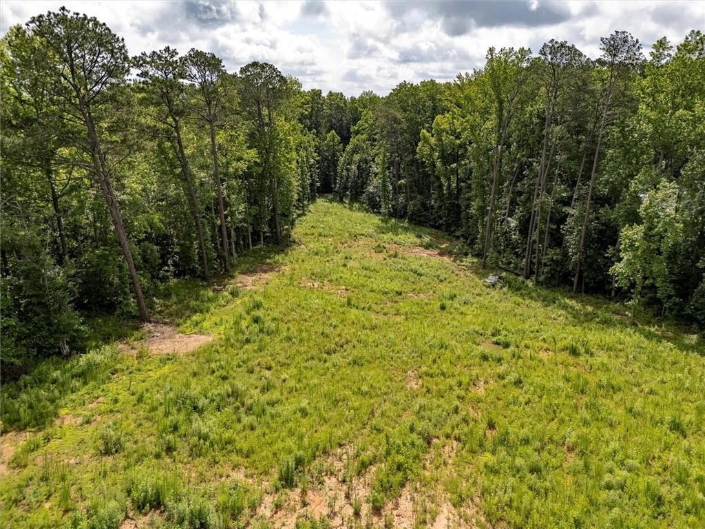2018 Sugar Pike Road Woodstock, GA 30188 - Photo 4 of 6 a view of outdoor space and trees all around