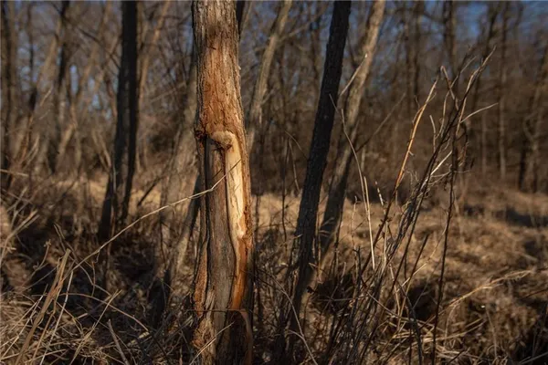 $3,210,000 | 217 Road Grant City Mo 64456, Grant City, MO 64456