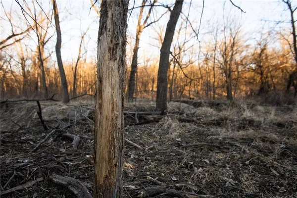 $3,210,000 | 217 Road Grant City Mo 64456, Grant City, MO 64456