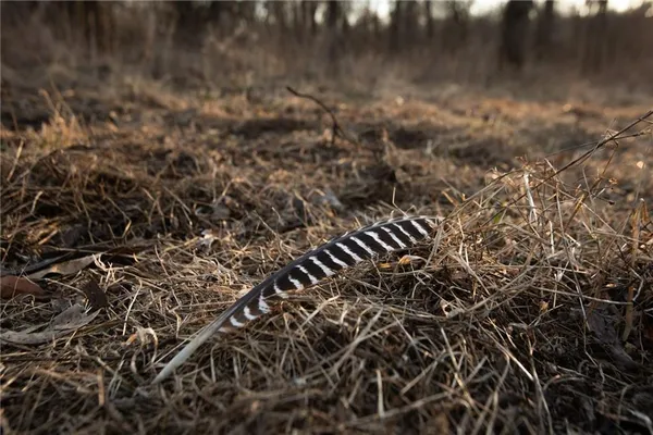 $3,210,000 | 217 Road Grant City Mo 64456, Grant City, MO 64456