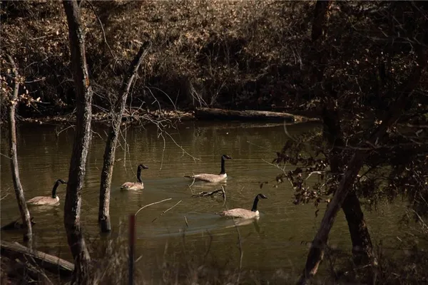 $3,210,000 | 217 Road Grant City Mo 64456, Grant City, MO 64456