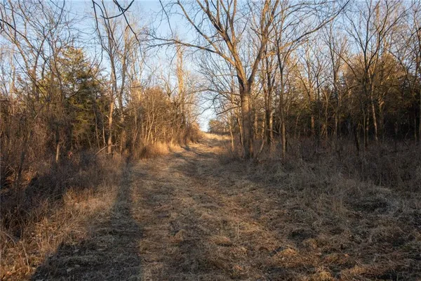 $3,210,000 | 217 Road Grant City Mo 64456, Grant City, MO 64456