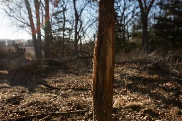 $3,210,000 | 217 Road Grant City Mo 64456, Grant City, MO 64456