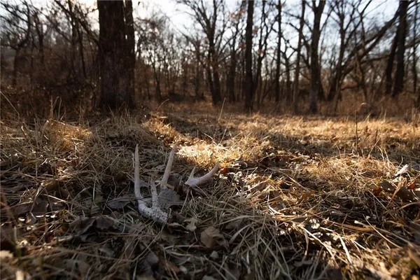 $3,210,000 | 217 Road Grant City Mo 64456, Grant City, MO 64456