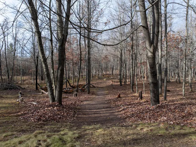 $275,000 | 3715 Deer Lodge Drive, Danbury, WI 54830