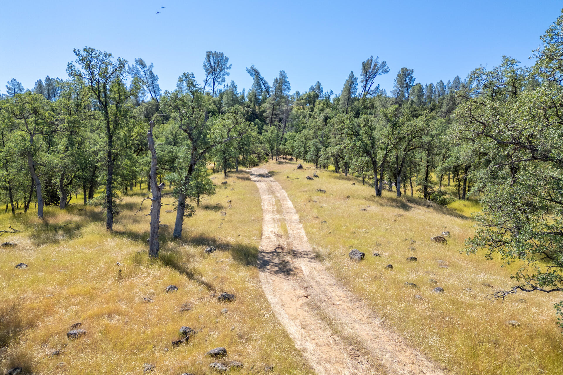 0 Racoon Way Oak Run, CA 96069 - Photo 6 of 39 DJI_0656-HDR