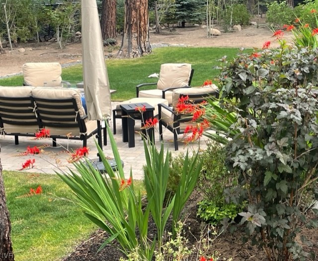 231 Pelton Lane Incline Village, NV 89451 - Photo 19 of 35 Colorful landscape accents compliment the