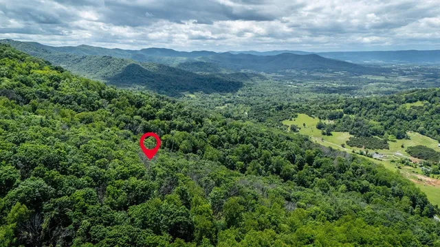 a view of a dry yard