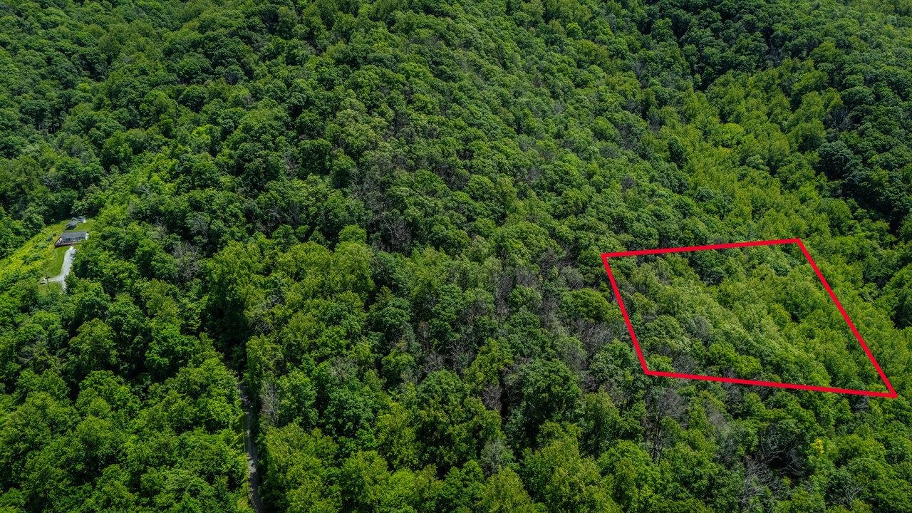 0 Helms Road Stanley, VA 22851 - Photo 14 of 14 a view of a green field with lots of plants