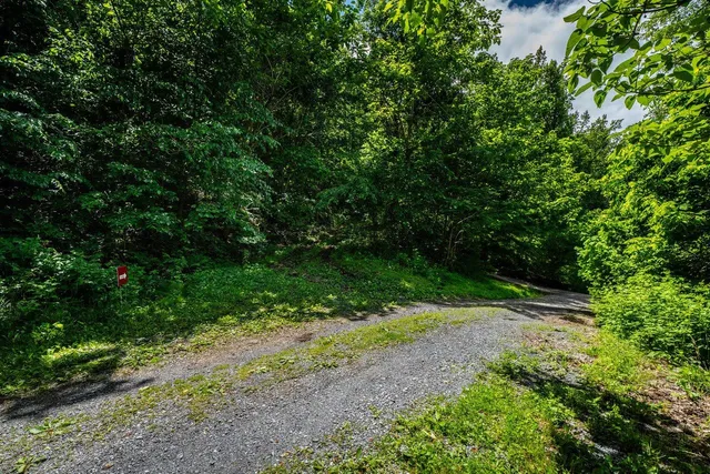 a view of outdoor space and yard