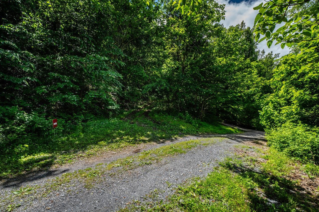 0 Helms Road Stanley, VA 22851 - Photo 10 of 14 a view of outdoor space and yard