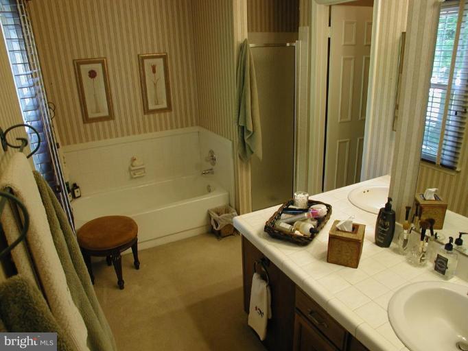 10817 Game Preserve Road Gaithersburg, MD 20879 - Photo 14 of 28 Master Bath