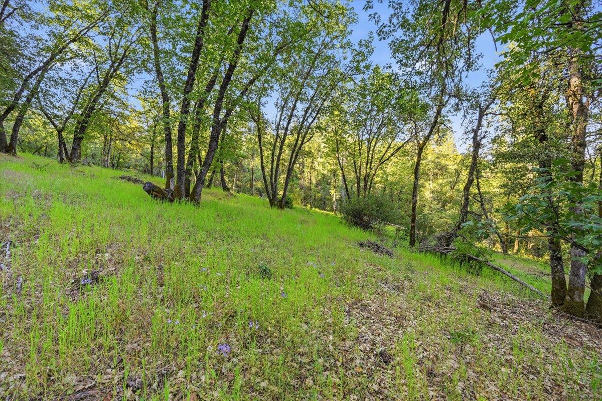 16095 Auburn Road Grass Valley, CA 95949 - Photo 14 of 20