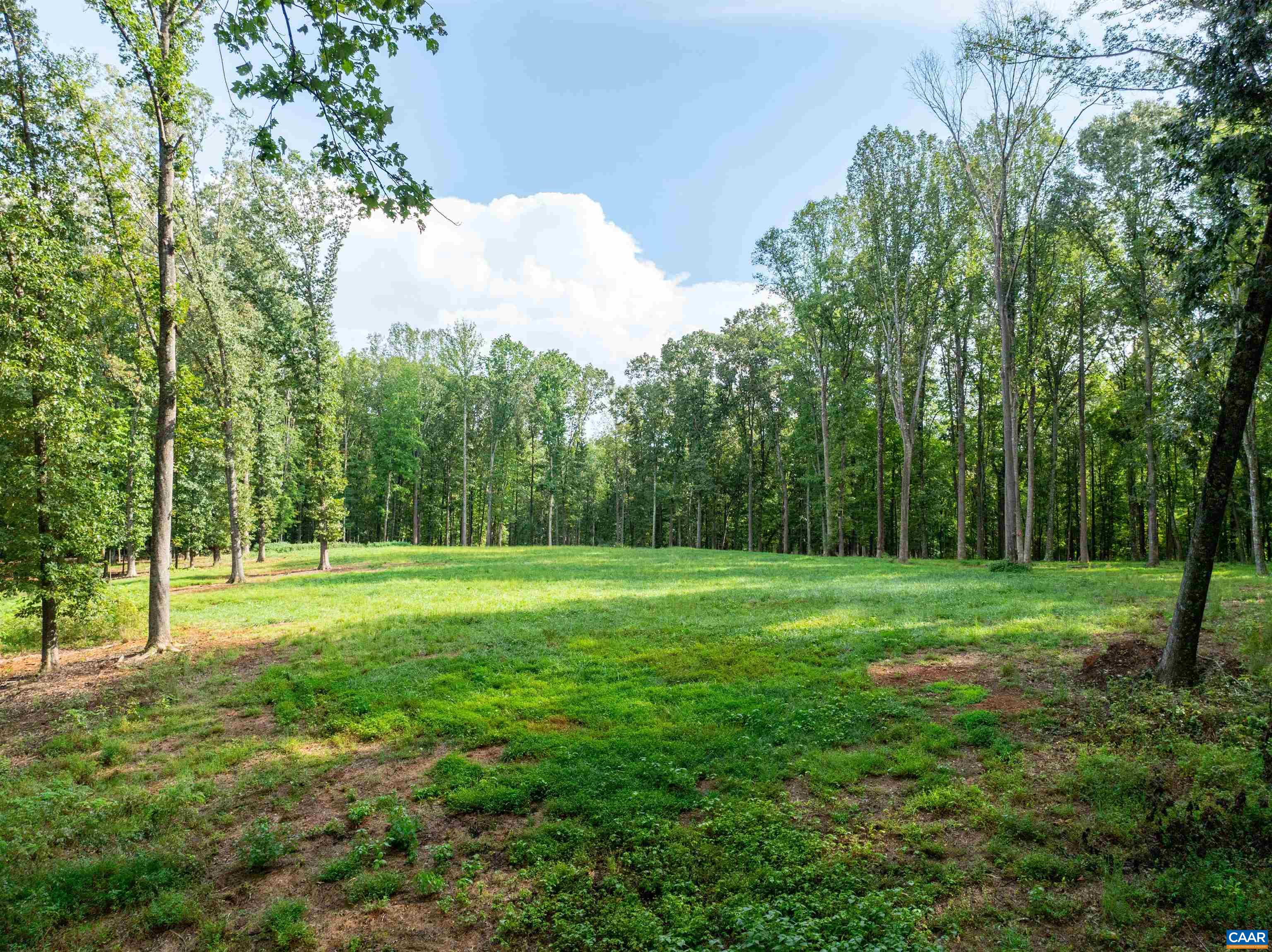 0 Dick Woods Road Charlottesville, VA 22903 - Photo 9 of 23 Gallery Image 9