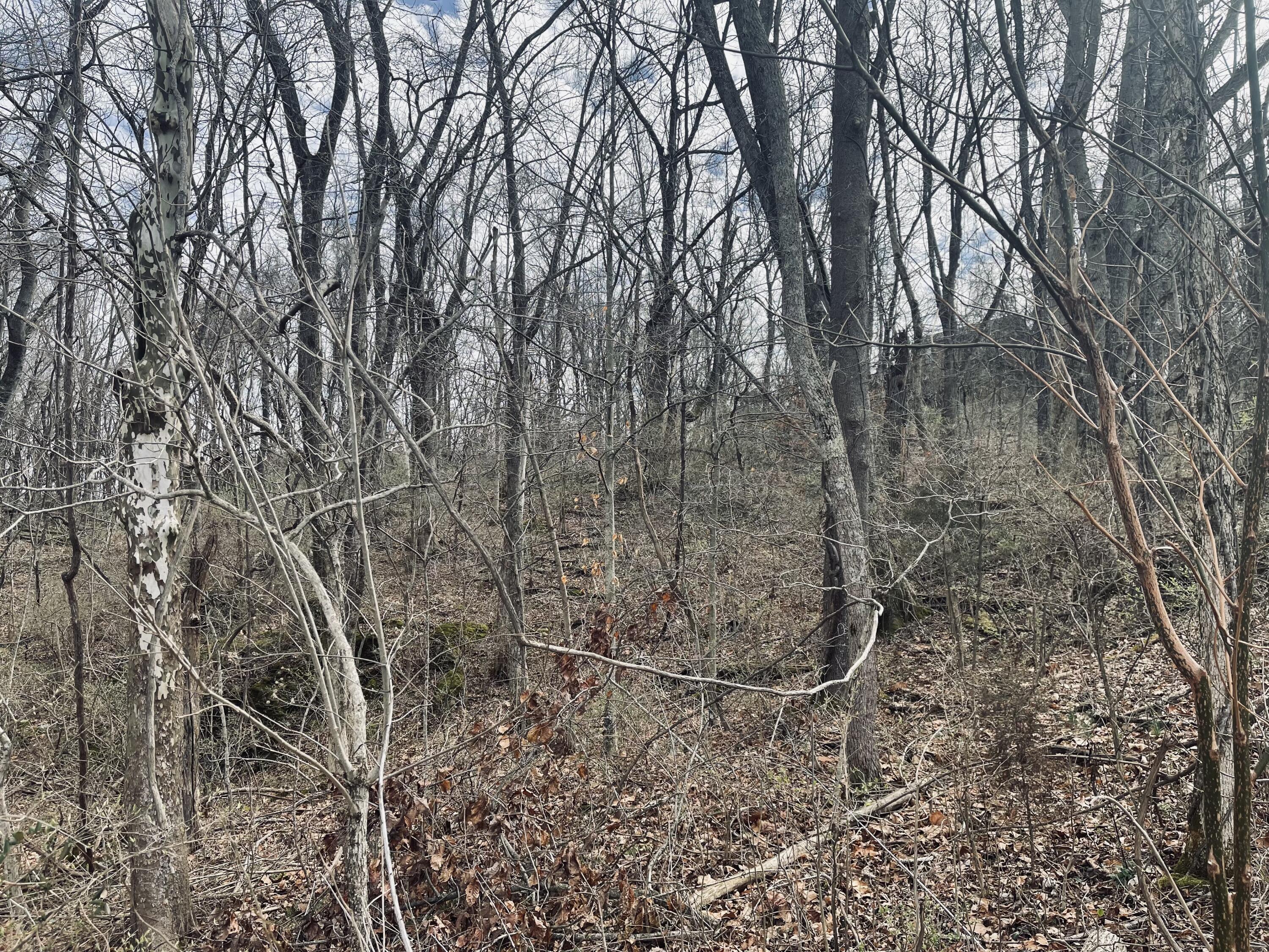 34 South Southside Road, Unit 34 Elizabethton, TN 37643 - Photo 5 of 18 EB7C9BBC-FFCD-4A27-BBC1-004D114A730D
