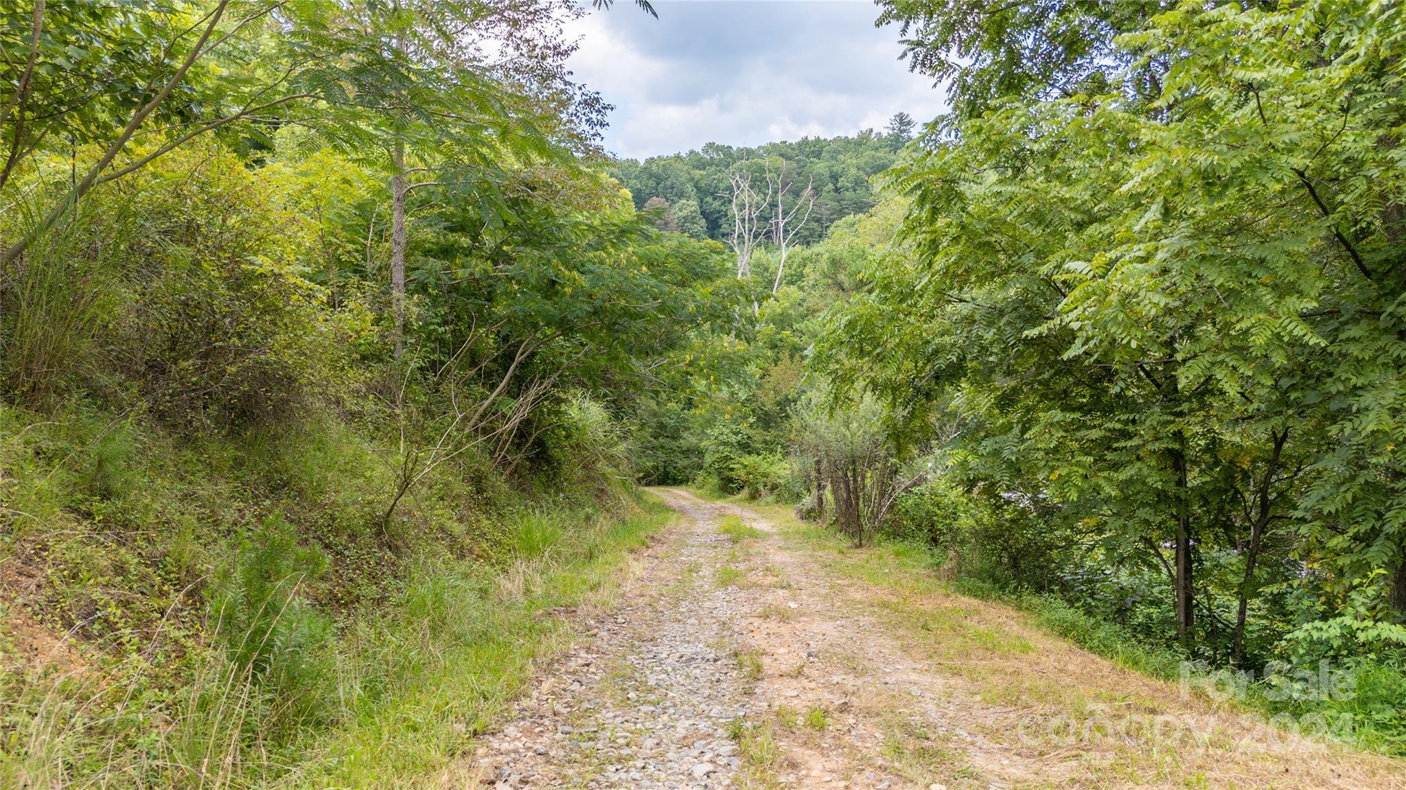 123 Julia Cove Road, Unit 1 & 2 Mars Hill, NC 28754 - Photo 23 of 33 Gallery Image 23