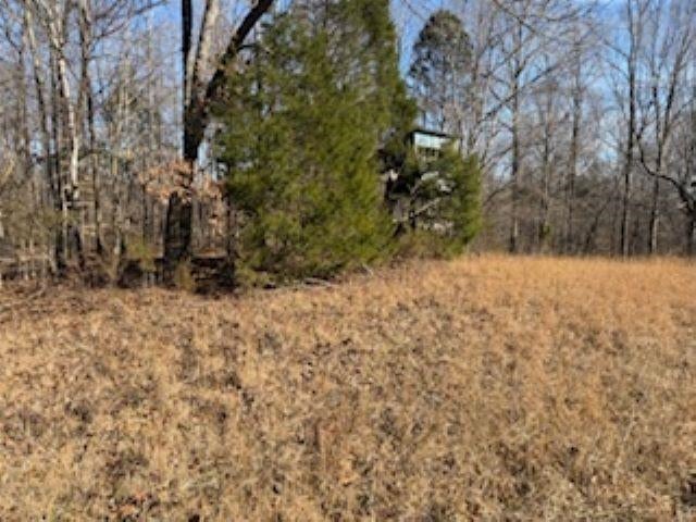 2791 Region Road Roundhill, KY 42275 - Photo 3 of 17 Gallery Image 3