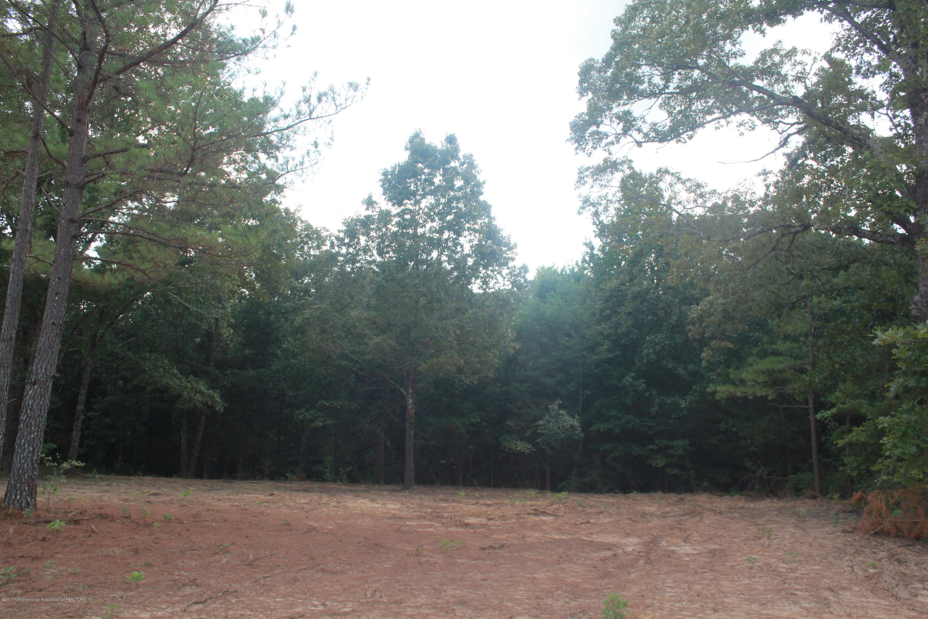 1 Sand Road Holly Springs, MS 38635 - Photo 3 of 7 083
