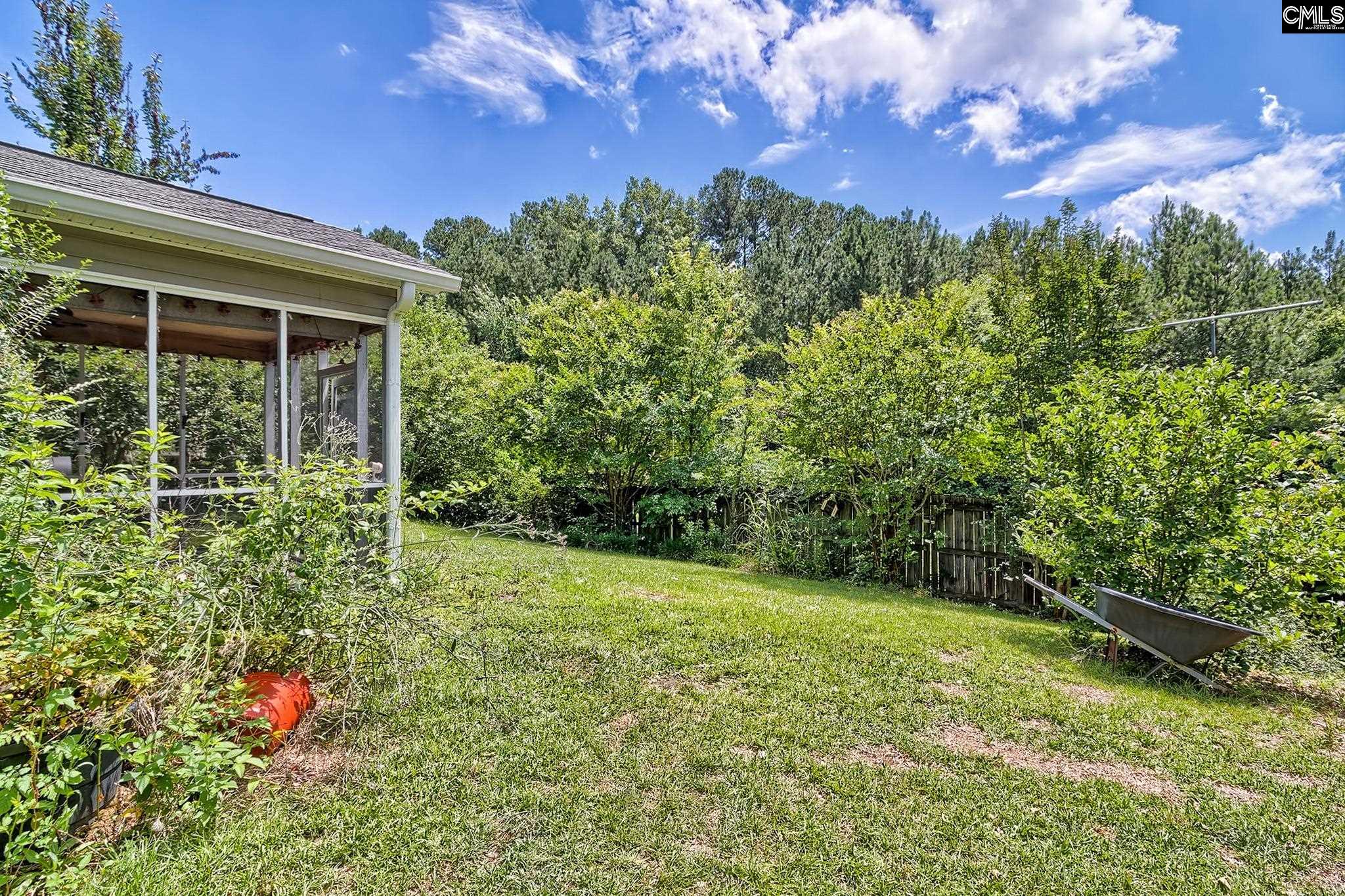 453 Crawley Lane Chapin, SC 29036 - Photo 36 of 36